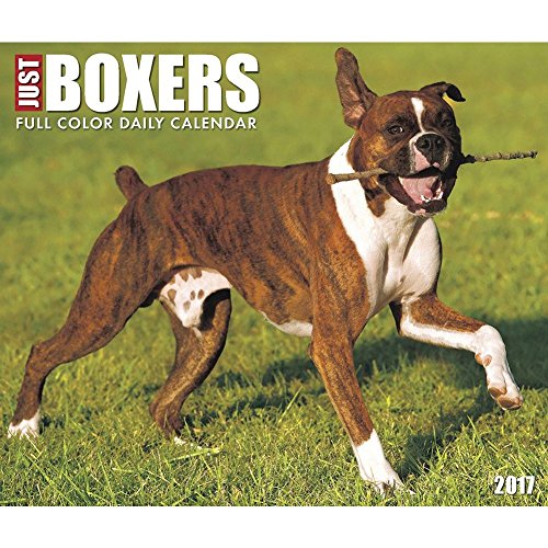 Just Boxers 2017 Calendar