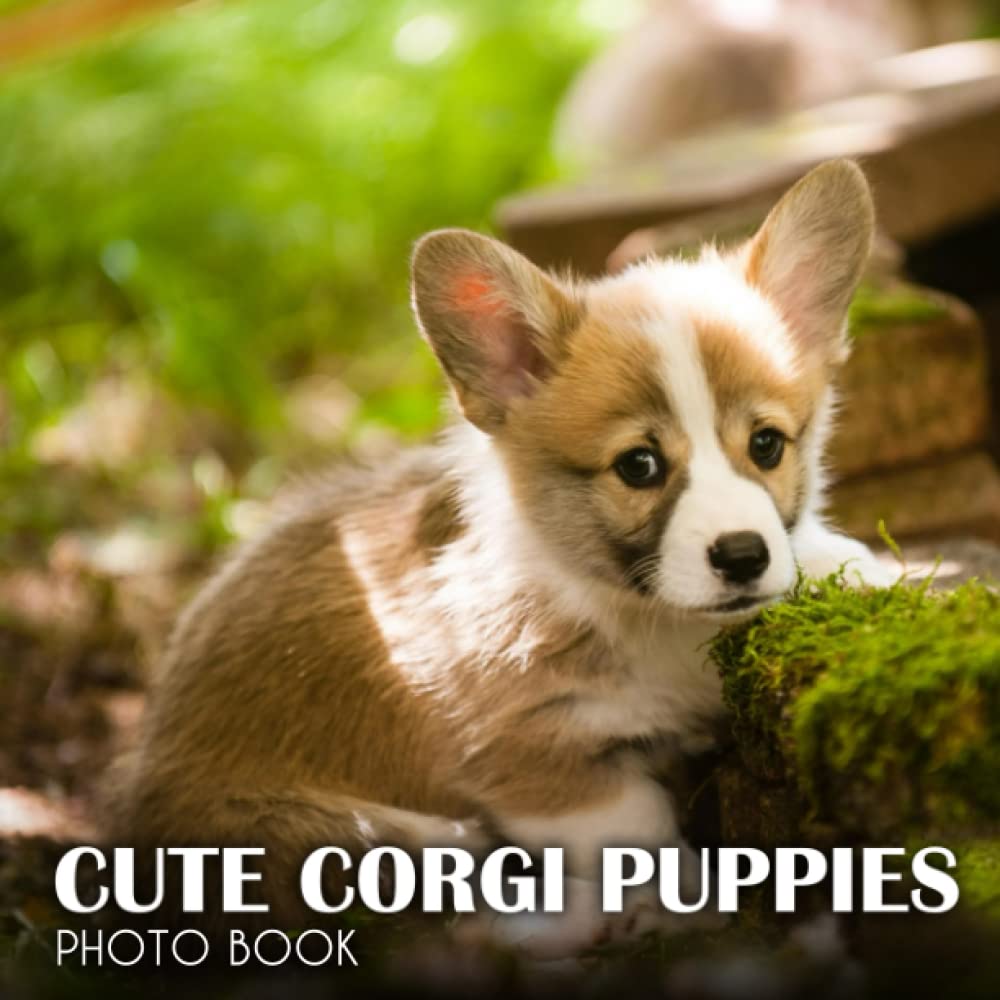Photo Book Of Cute Corgi Puppies: Cute Corgi Puppies Picture Book For Photos With 30+ Pictures Photos, 2023 Photobook Photography Christmas Gifts For Men Women Mom Dad