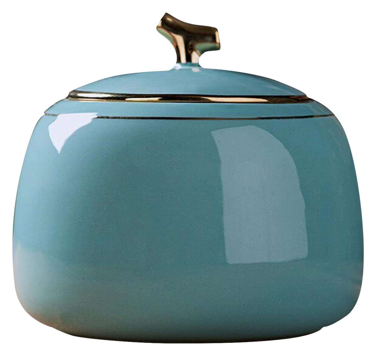 DQZRTUECA Ceramic Tea Caddy with Lid