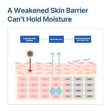 AVCA Aqua Hyaluronic Acid Daily Moisturizer 200ml(6.76 fl. oz) Ceramide Barrier Support Cream for Dry Skin, Lightweight Rich Texture
