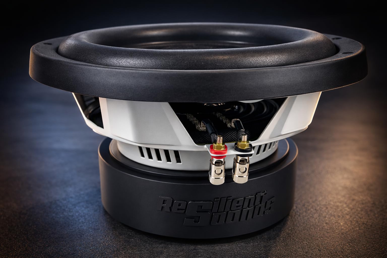 Amazon.com: Resilient Sounds RS 10 V2 600RMS D4 Entry WOOFER 10
