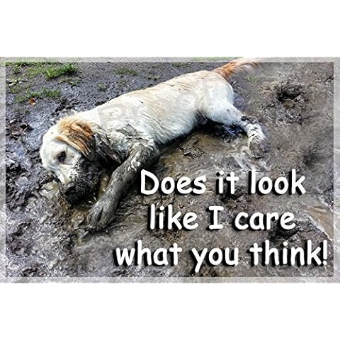 Golden Retriever Dog Funny Fridge Magnet Gift Cover