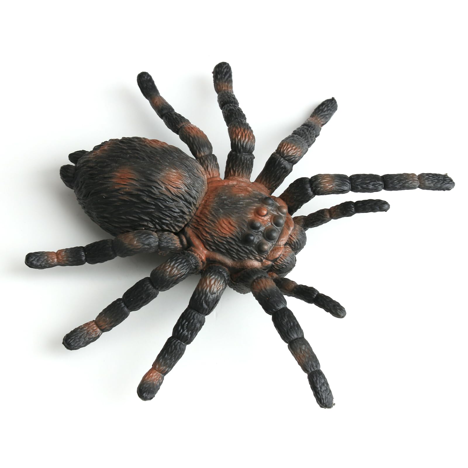 Hioip ﻿Authentic Role Play Tarantula Spider, Realistic Movements, Fake Spider, Highly Collectible Perfect for a Birthday Gift, Party gift and Halloween