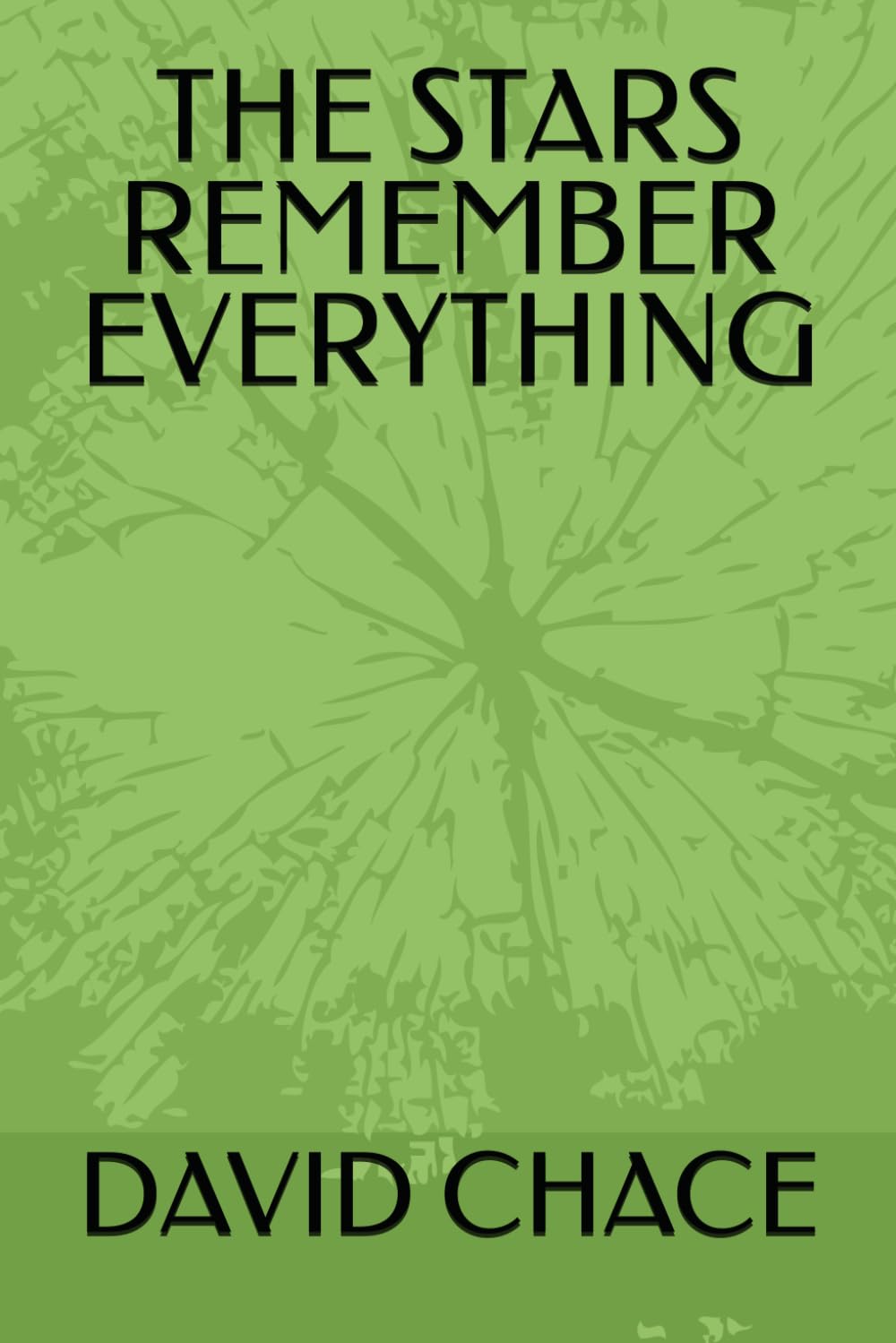 THE STARS REMEMBER EVERYTHING
