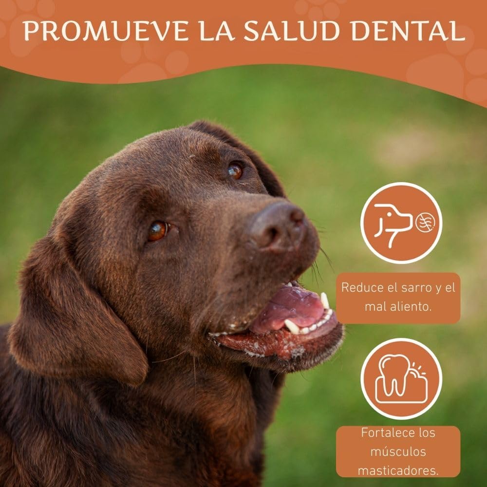 Wildfang® Raíz Masticable de Brezo Grande – Mordedor de Madera, Juguetes para Perros Agresivos, Sin Olor, Natural para Dentición y Salud Dental, Encías Saludables (25-45 kg), Paquete de 3