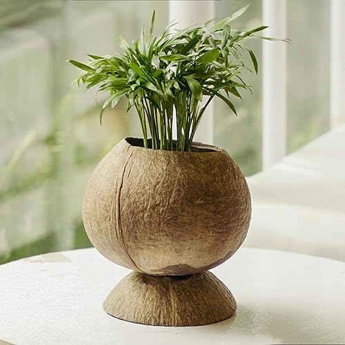 Miniatura 5 de Rainforest Bowls Juego de 2 macetas de coco con pedestal con orificio de drenaje, perfectas para suculentas, flores, plantas pequeñas, jardines