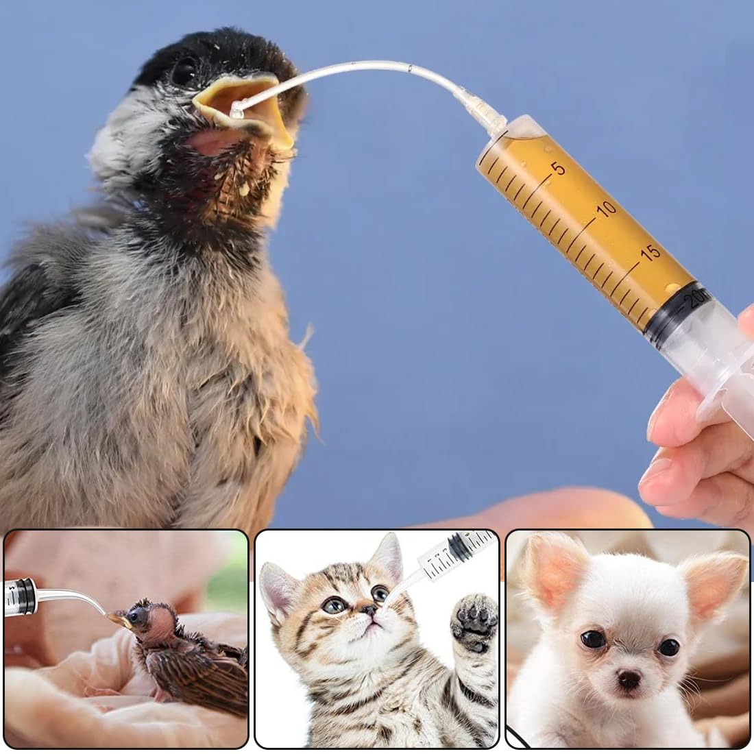 WUSJCOF 6 Pezzi Strumento per Alimentazione Manuale, Alimentatore per Pappagalli e Pulli, Tubo per Veloce, Siringhe per Uccelli Domestici Giovani,Contiene 1 tubo da iniezione da 10 ml