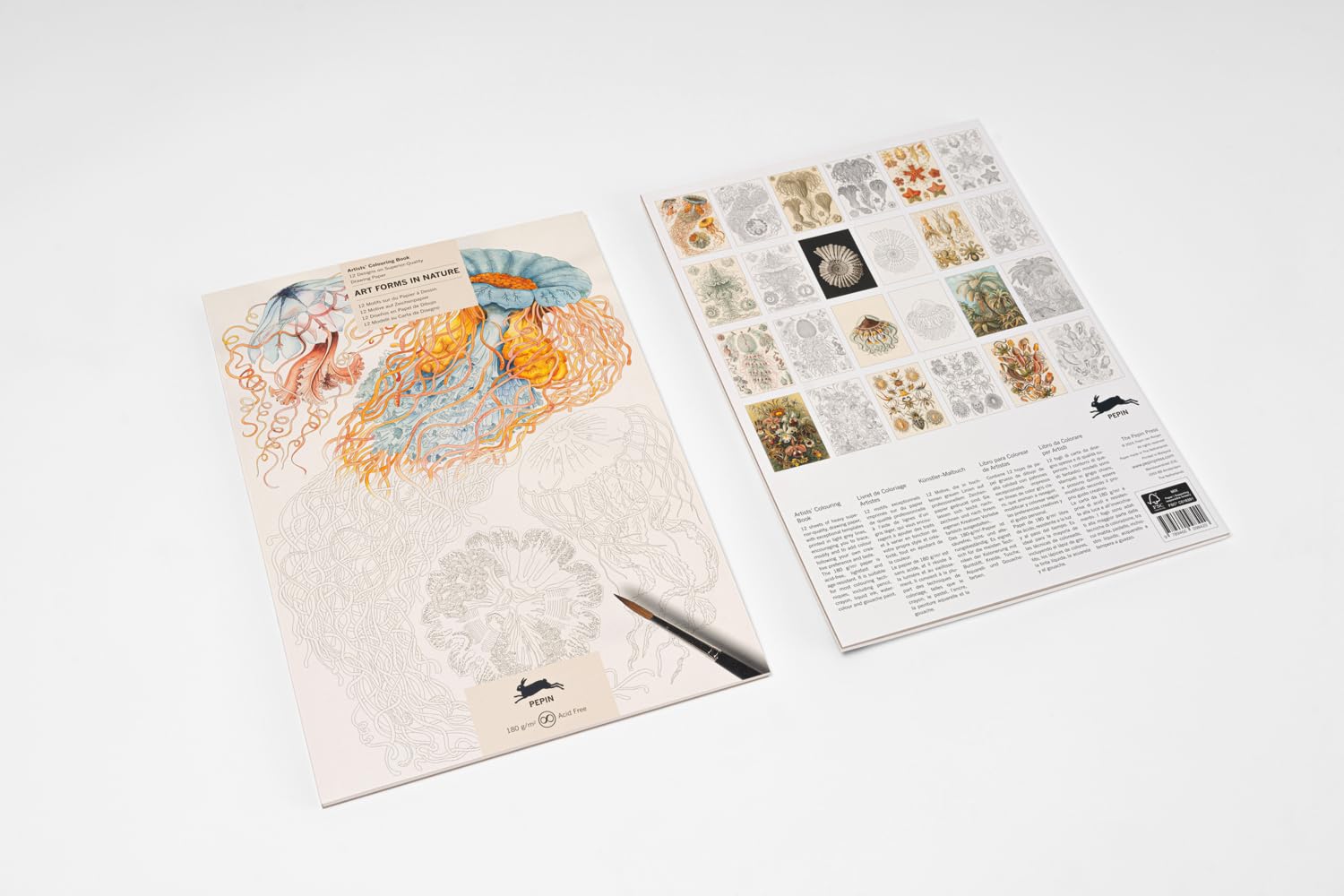 Art Forms in Nature: Artists' Colouring Book