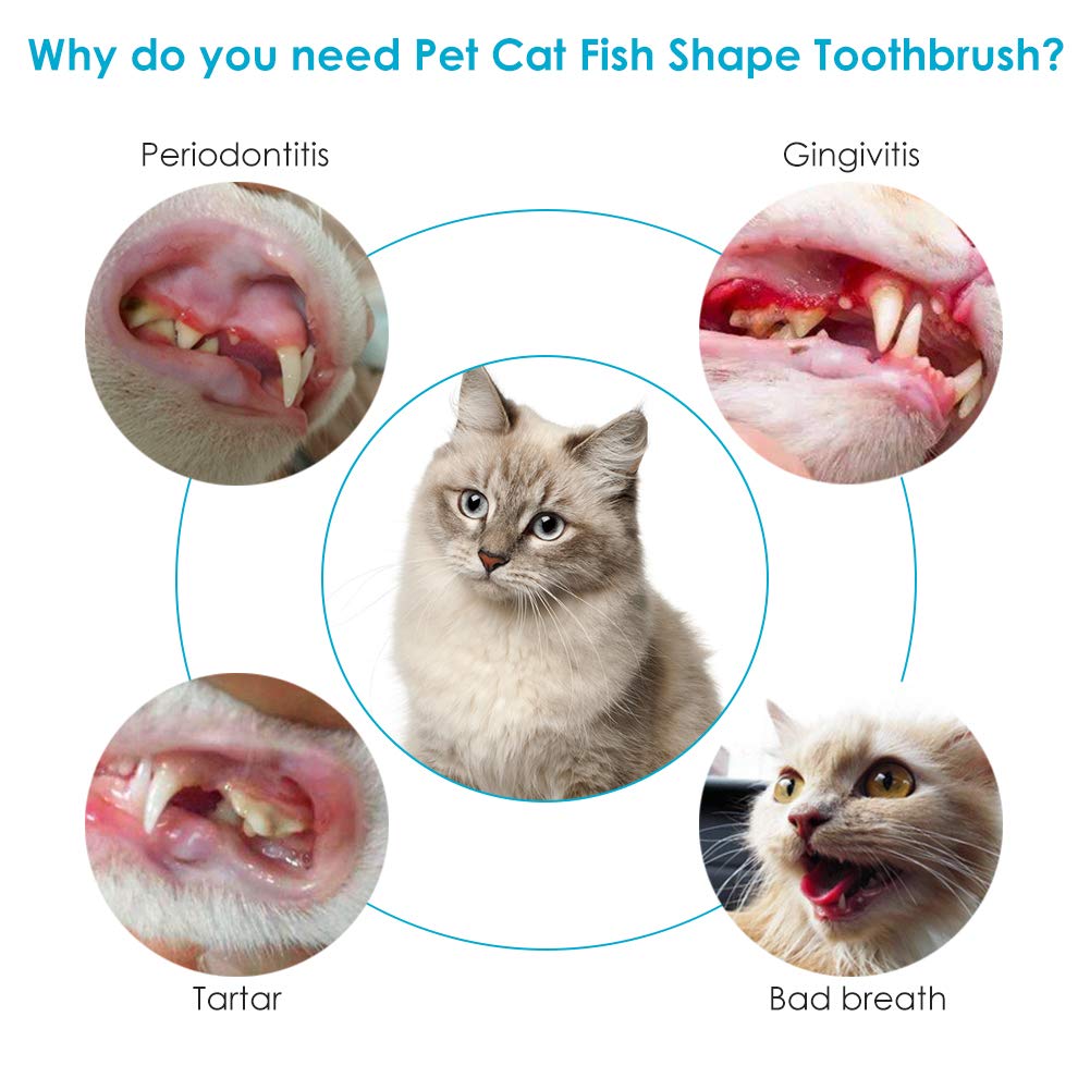 cat toothbrush australia