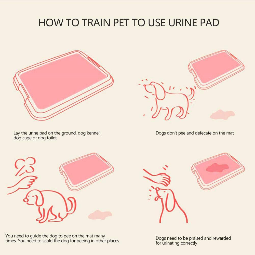Empapadores Perros Alfombrilla Higiénica De Entrenamiento para Perros Gatos,Toallitas De Entrenamiento para Mascotas,Ultraabsorbente Perros Pañales para Incontinencias Cómodos