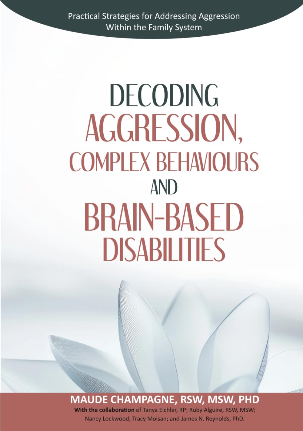 Decoding Aggression, Complex Behaviours and Brain-Based Disabilities: Practical Strategies for Addressing Aggression Within the Family System