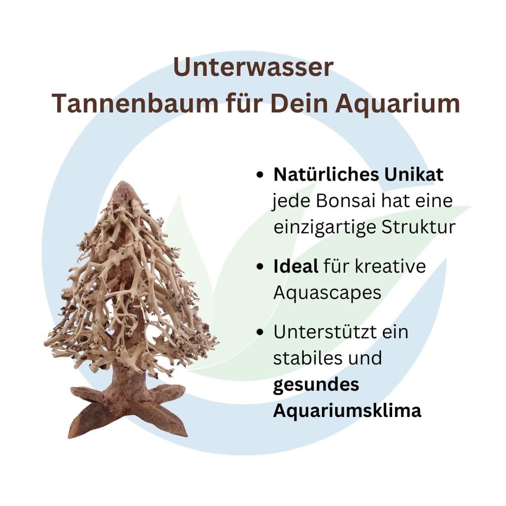 AquaOne Aquarium Bonsai Tannenbaum L Wurzel Oriental Holz 15x10x20 cm I Aquascaping Dekoration I Natur Unikat Bonsaibaum I Landschaft Deko Unterwasserlandschaft