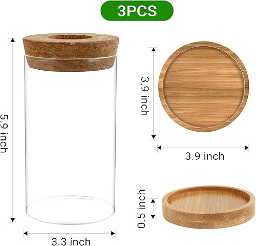 Miniatura 5 de Estaciones de propagación de plantas, paquete de 3 terrarios de plantas, tarros de propagación de vidrio hidropónicos para plantas de interior,
