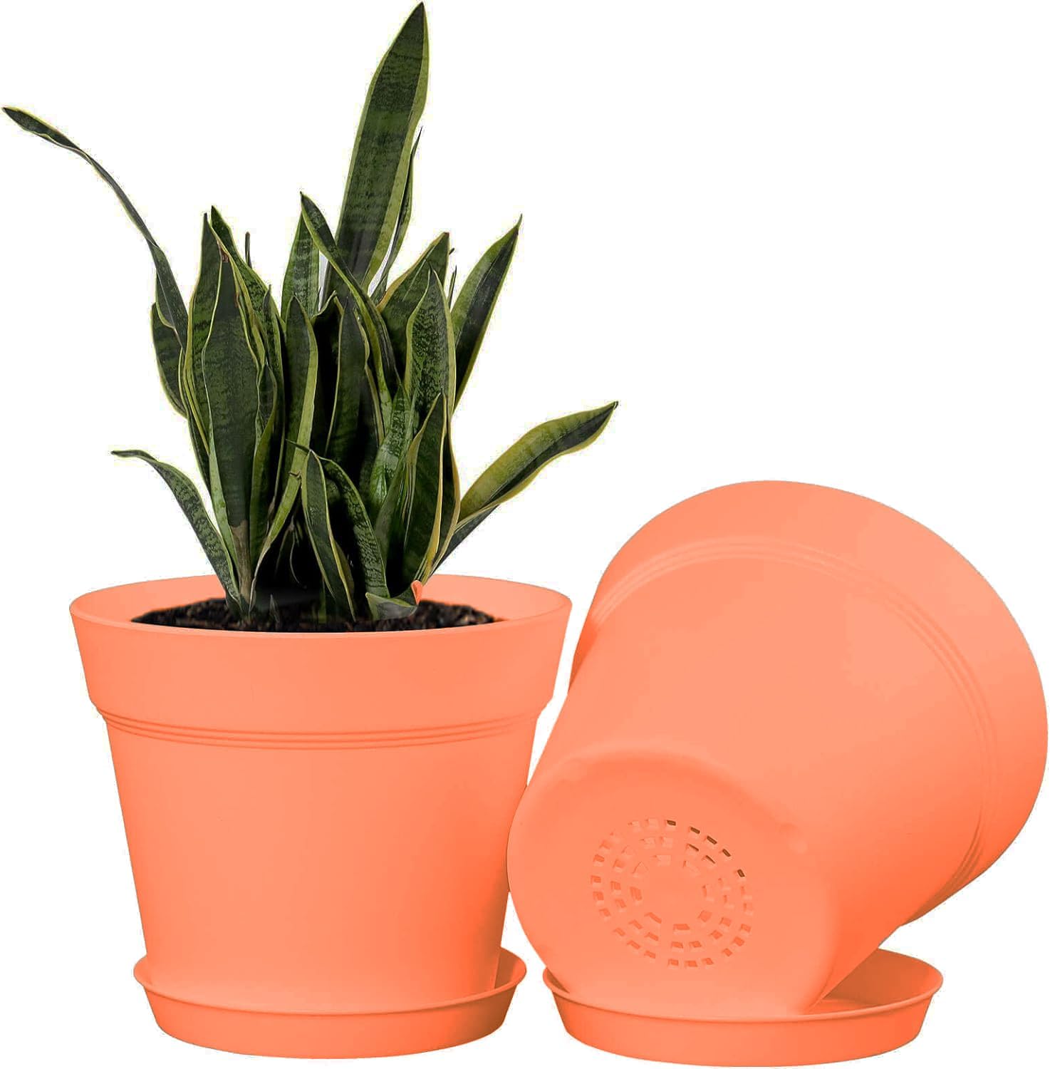 INKULTURE Plastic Round Flower Pots for Home Planters, Terrace, Garden Etc | Pack of 05 | Orange | for Home Indoor & Outdoor Gardening Plants (B0CK6V4ZG8) Amazon Price History, Amazon Price Tracker