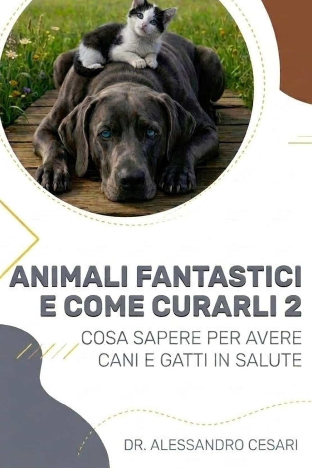 Animali fantastici e Come curarli 2: Cosa sapere per avere cani e gatti in salute