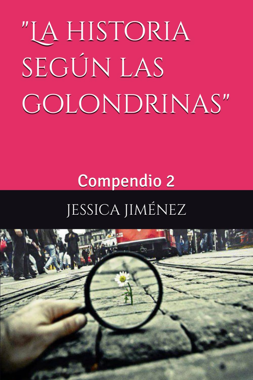 "La historia según las golondrinas": Compendio 2