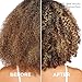 L'Oreal Paris Sulfate Free Frizz Defy Conditioner, Frizz Control Hair Care with Marula Oil, EverPure, 8.5 Fl Oz (Packaging May Vary)