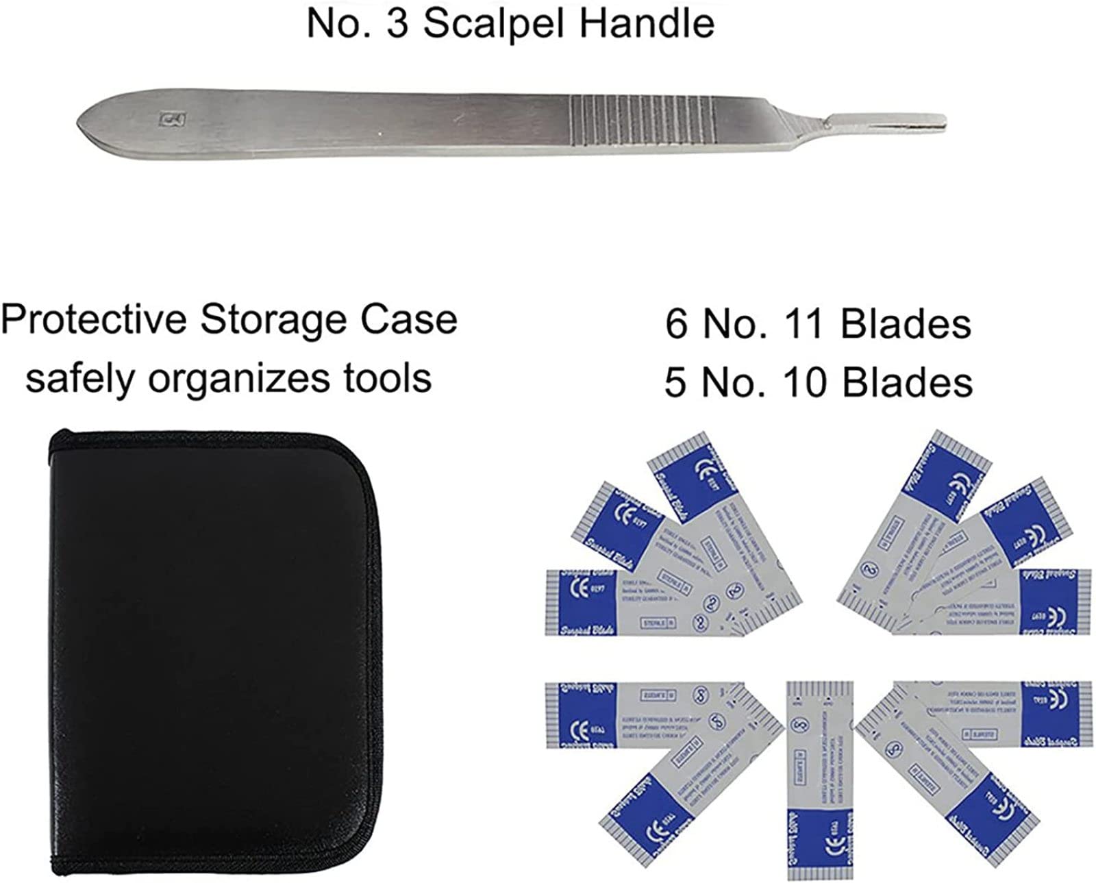 Kit di Strumenti di Dissezione, Set di Dissezione da 22 Pezzi per Anatomia di Laboratorio di Biologia, per Laboratorio Veterinario, Anatomia, Botanica, Studenti di Medicina di Biologia