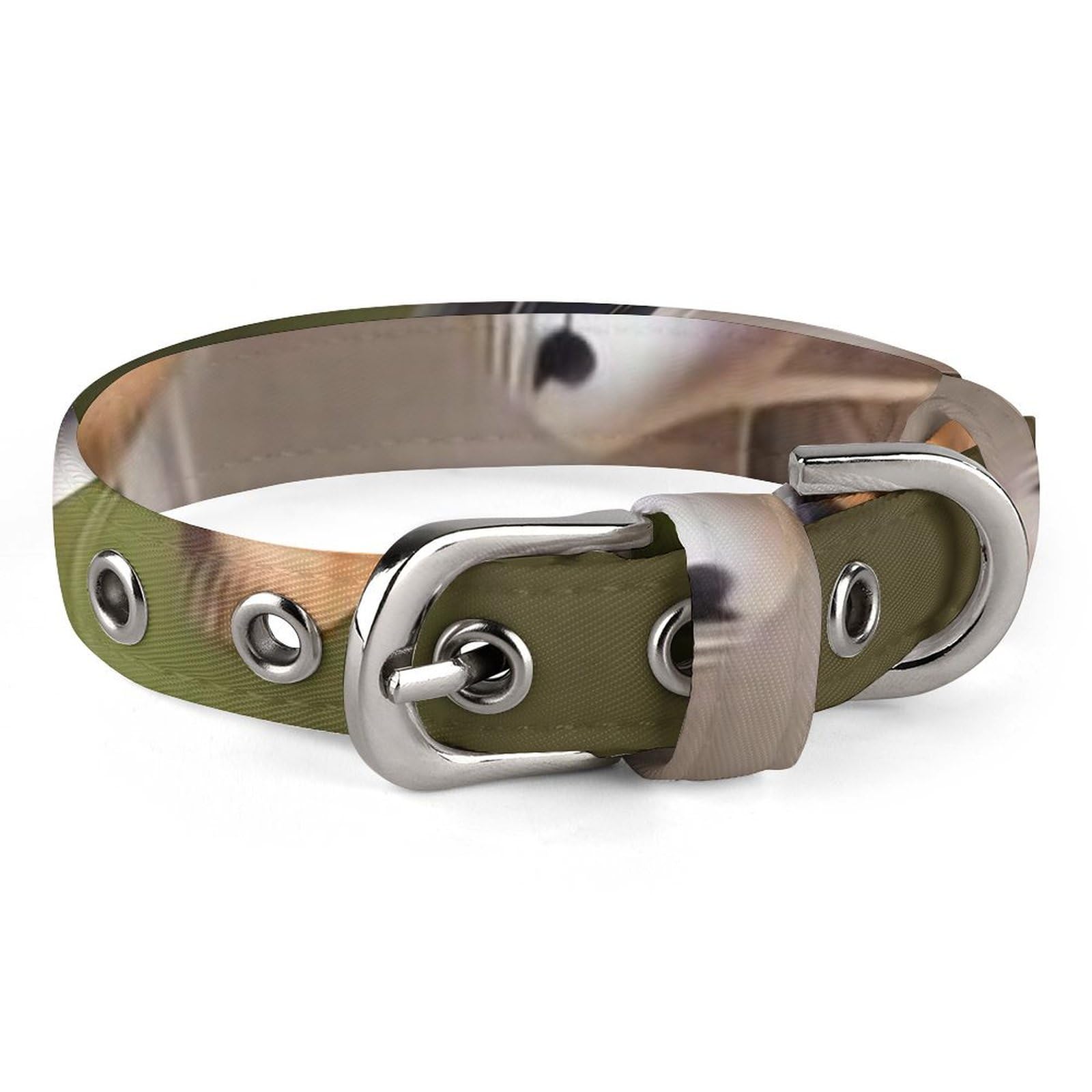 Collier pour chien Beagle réglable et résistant pour les balades