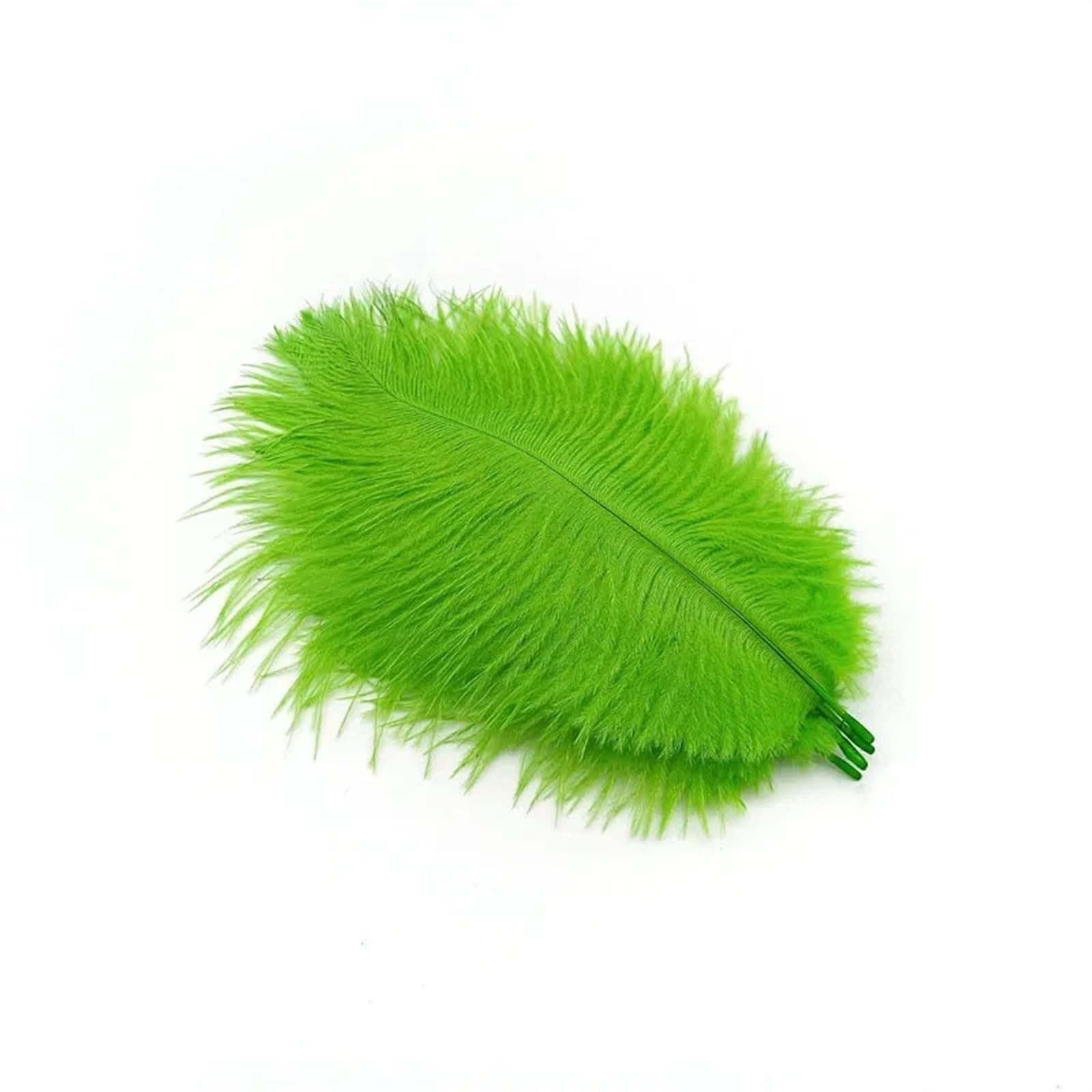 Ostrich Feathers 10Pcs Ostrich Feathers for Jewelry Making Plume DIY Dream Catcher Decorations Vase Needlework Craft Supplies Wedding Accessories(Green Feathers)