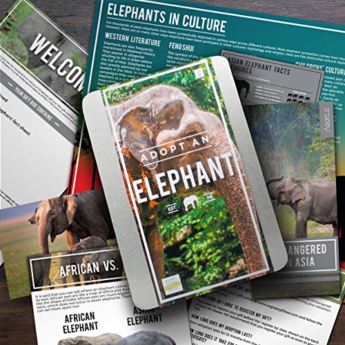 Preisvergleich Produktbild Gift Republic Geschenk-Box Adopt An Elephant