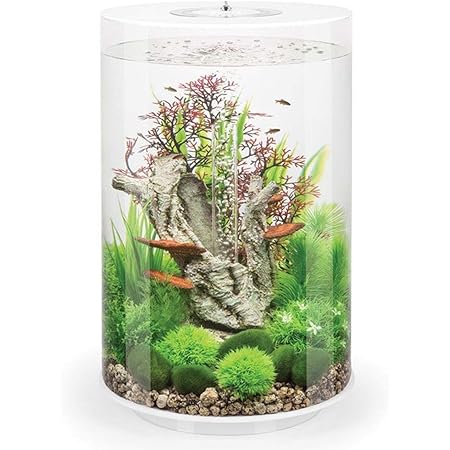 biOrb Aquarium in Zylinder-Form, mit mehrfarbiger LED-Beleuchtung und Fernbedienung, 30 l
