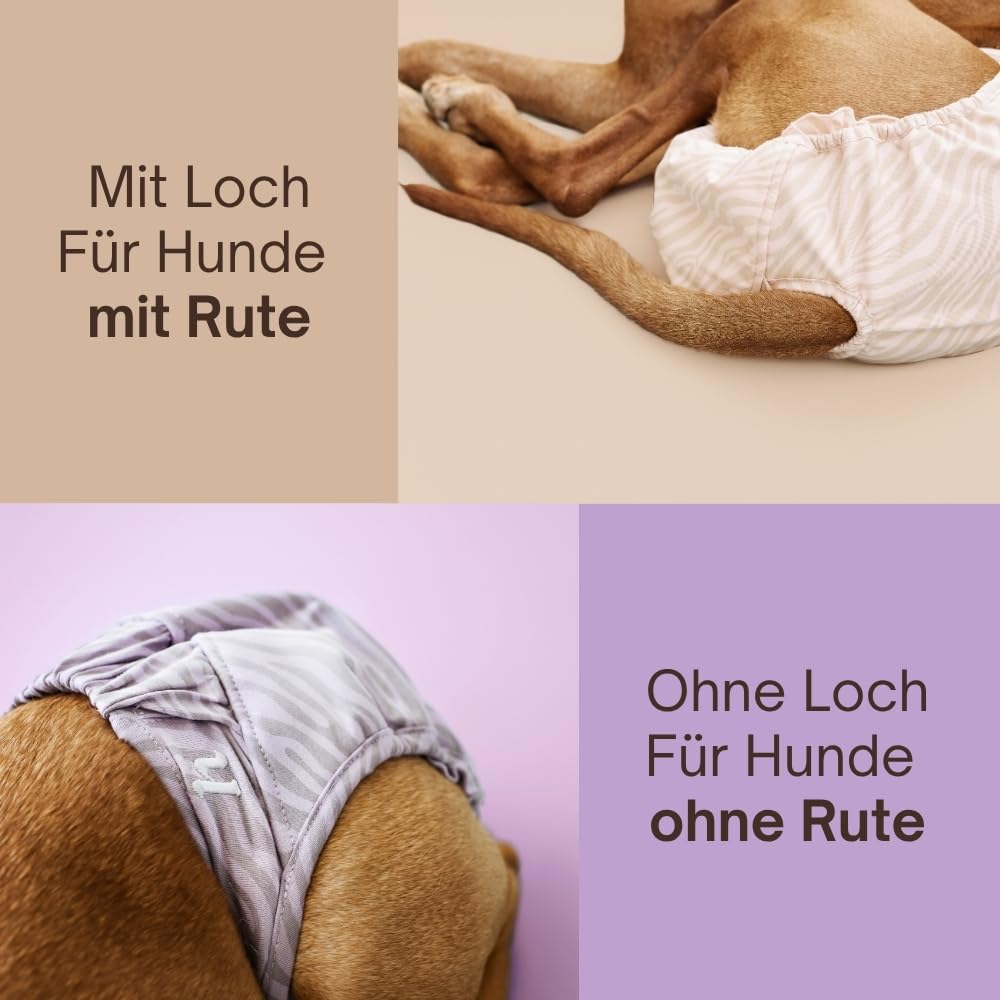 Holly Premium Hundewindeln für Hündinnen und Rüden 2er-Set, Läufigkeitshose mit Klettverschluss waschbar bei Inkontinenz, Läufigkeit - Oeko-TEX Baumwolle, Hunde- windel weich & atmungsaktiv