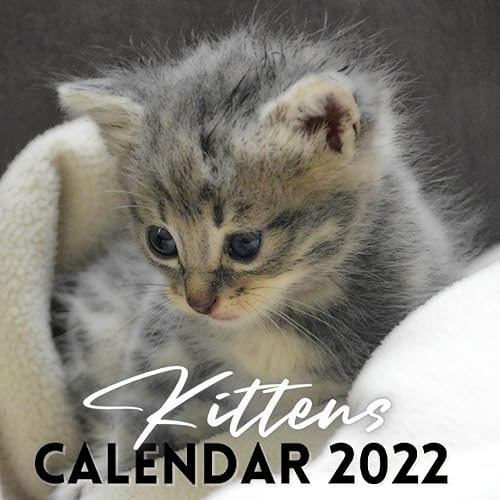 Kittens Calendar 2022: September 2021 - December 2022 Monthly Planner Mini Calendar With Love Kindness Gratitude &amp; Happiness Quotes