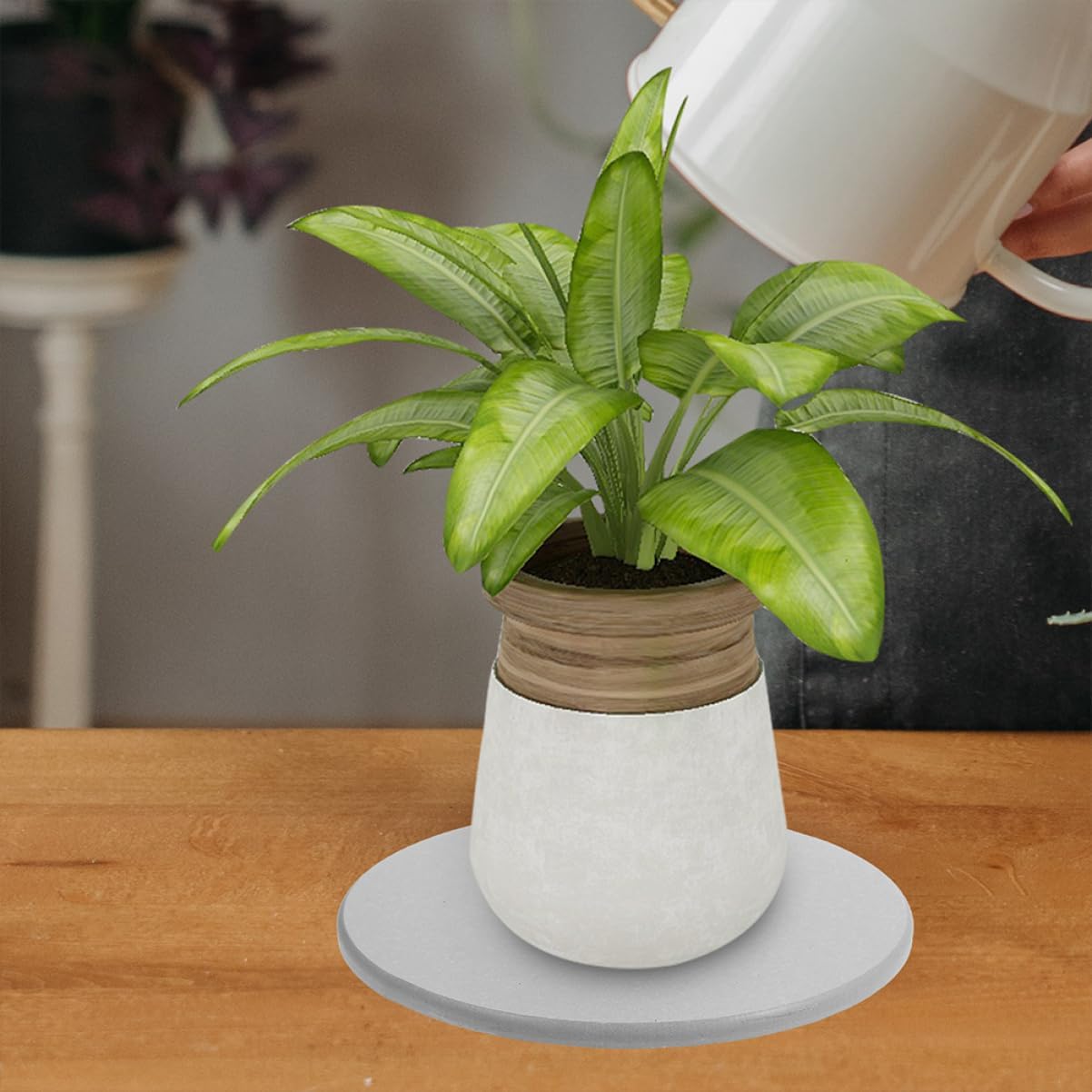 4pcs Water Absorption Plant Trays Drip Trays for Potted Plants Flower Pot Saucers