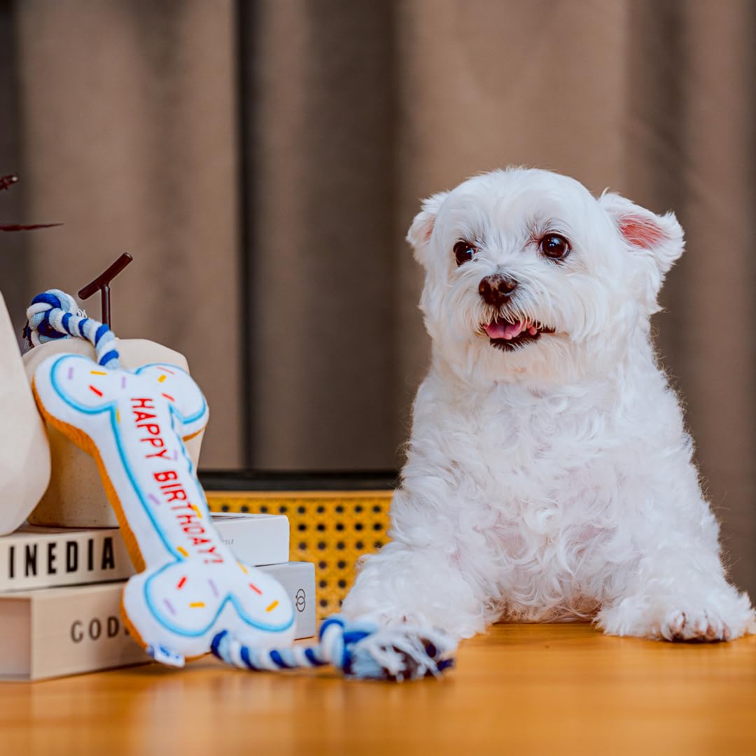Juguete interactivo de hueso de cumpleaños para perros, juguete interactivo de cuerda para mascotas, bonito diseño único, regalo de cumpleaños para fiestas, cachorros pequeños y medianos, juguete de