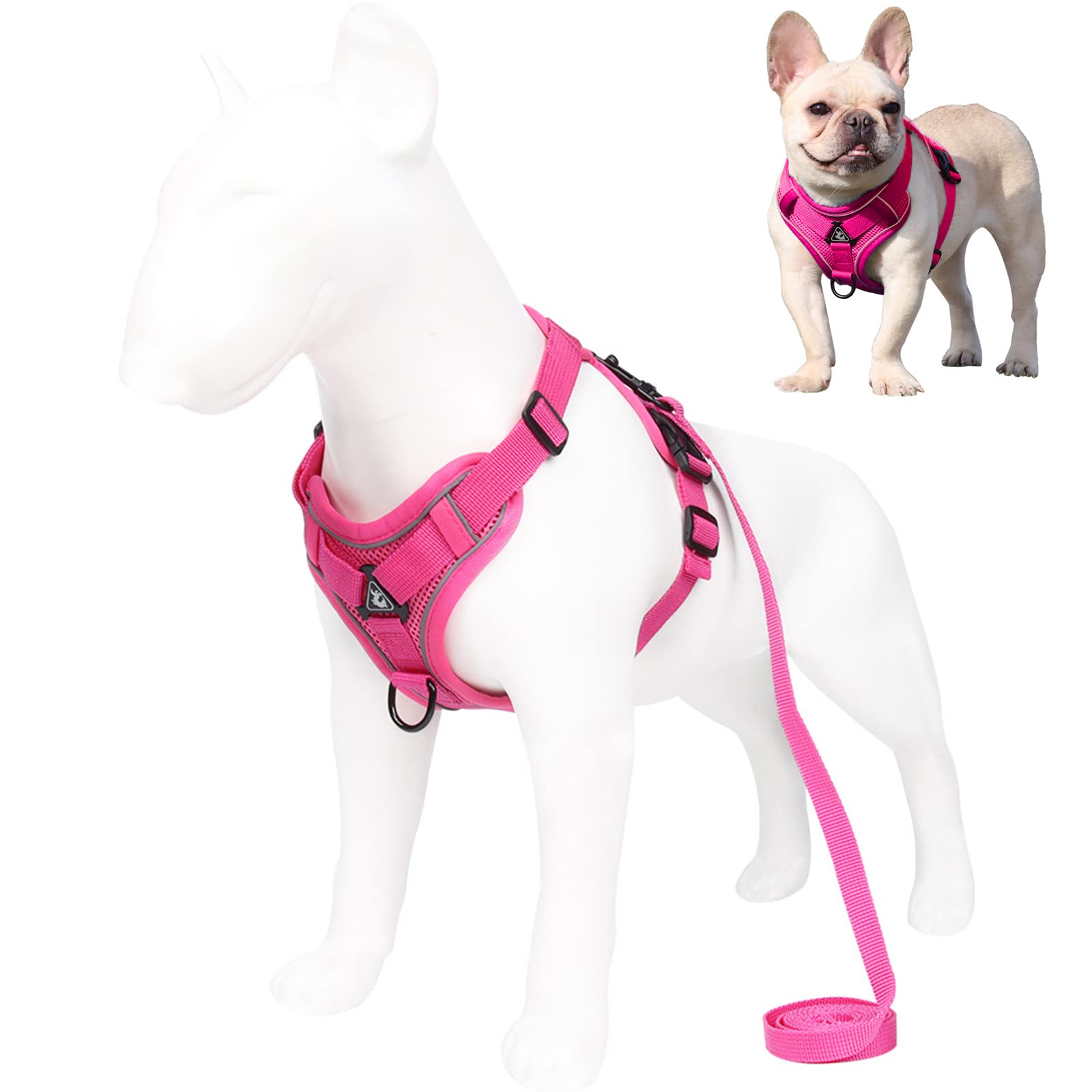 Pettorina Per Cane Taglia Piccola Con Guinzaglio - Anti-Strappo, Riflettente - Rosa XS