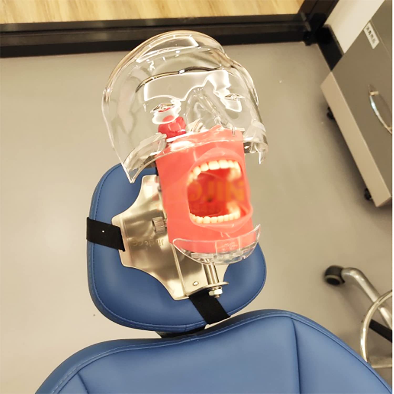 Model dydaktyczny, model głowy symulator zębów model zębów można zainstalować na poduszce krzesła dentystycznego stomatologii zestaw narzędzi do nauczania kanału korzeniowego