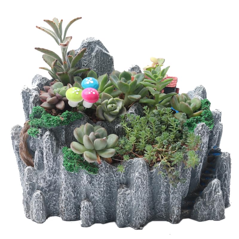 Amazon.co.jp: YANMILIA 多肉植物ロックガーデンプランター