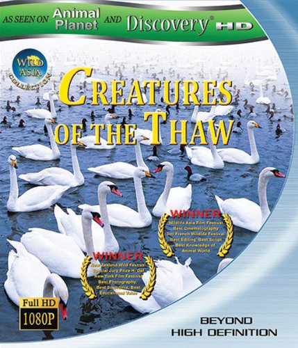 Amazon.com: Creatures of the Thaw [Blu-ray] : n/a, Michael Hacking ...