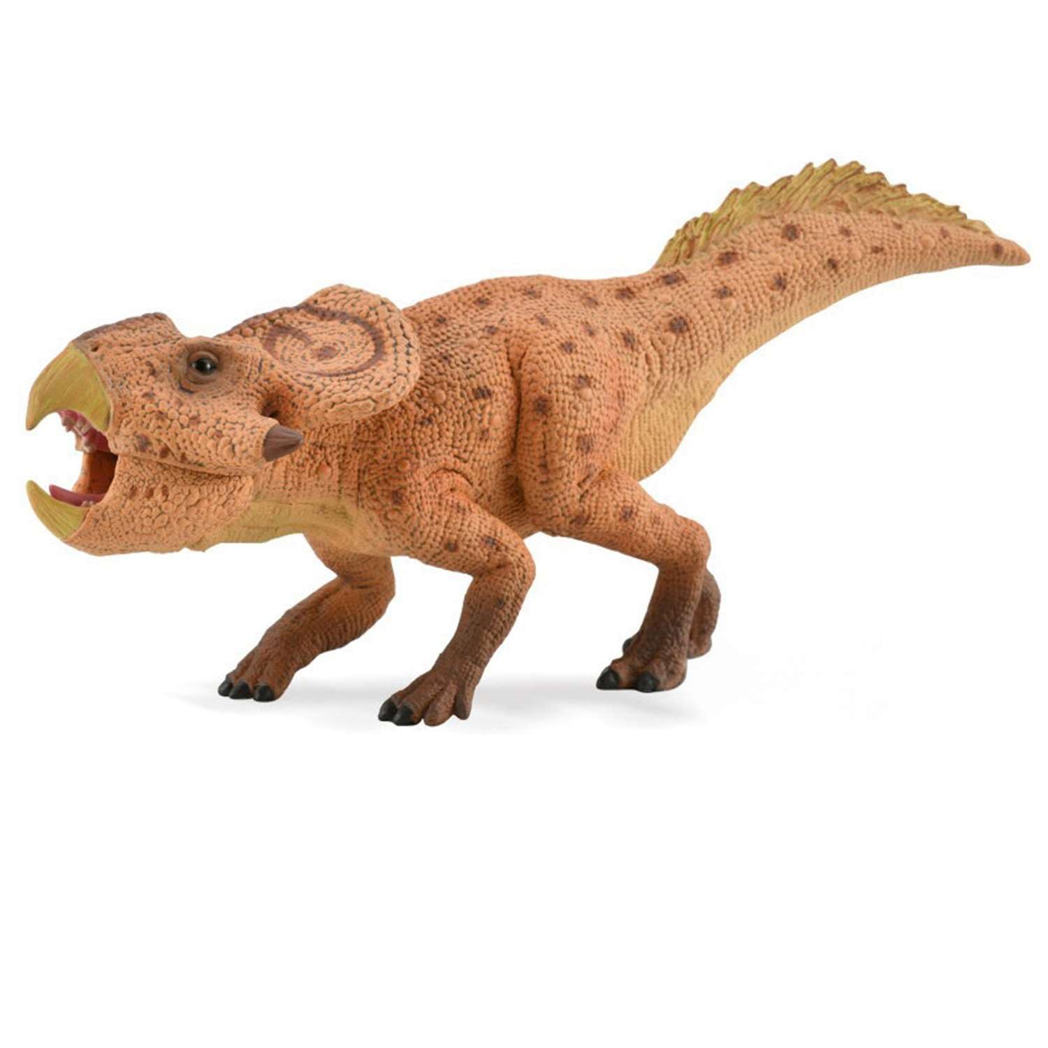 Amazon.co.jp: Collecta 88874 プロトケラトプス デラックス 1/6
