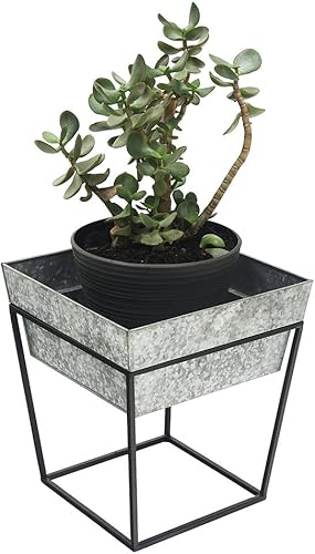 Miniatura 3 de Achla Designs Arne soporte para plantas, 14 pulgadas de alto con bandeja galvanizada profunda para macetas