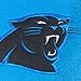 NFL Carolina Panthers Man Cave Banner