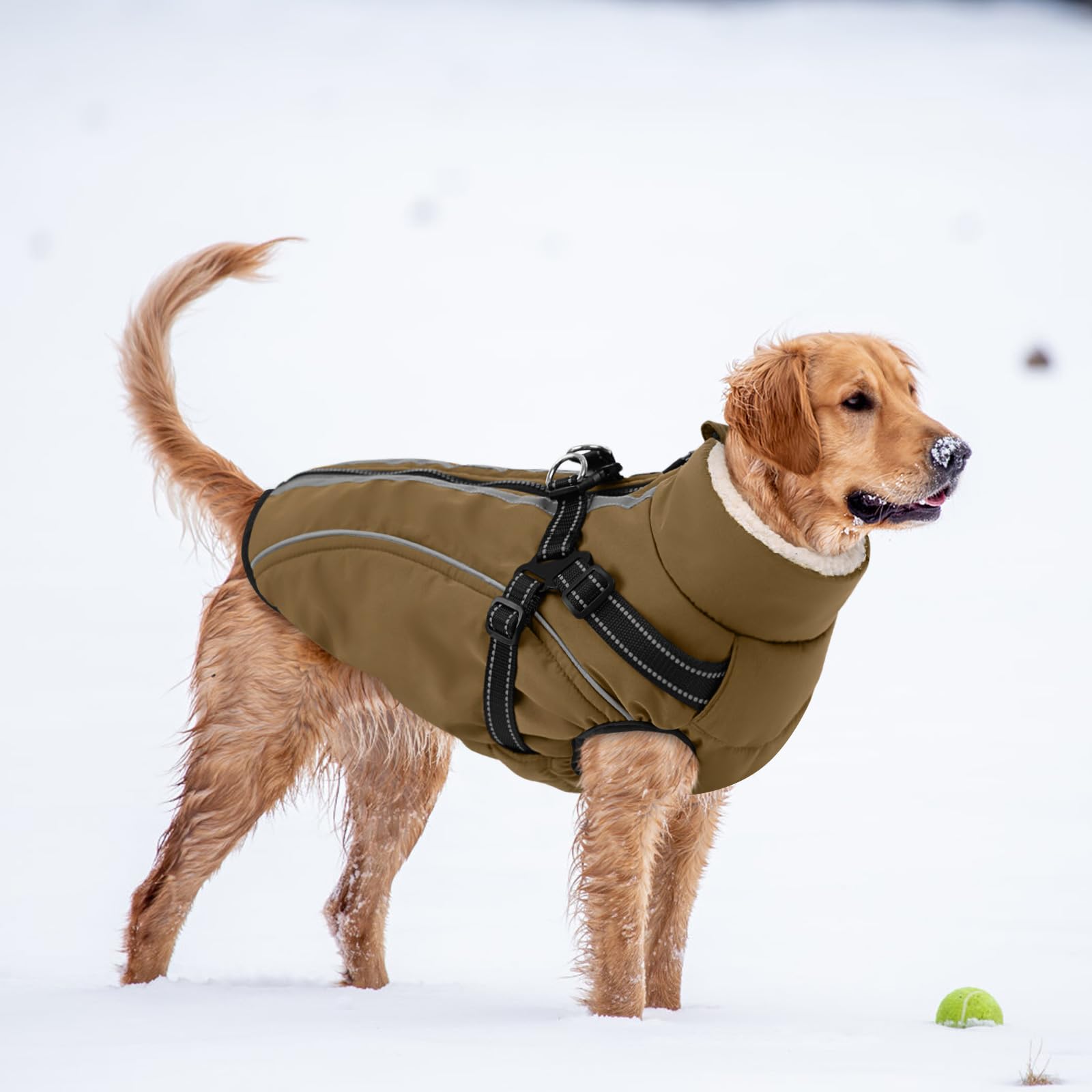 CITÉTOILE Manteau Imperméable pour Chien avec Doublure Polaire, Réflecteur, Harnais, Col Chaud, Brun, S
