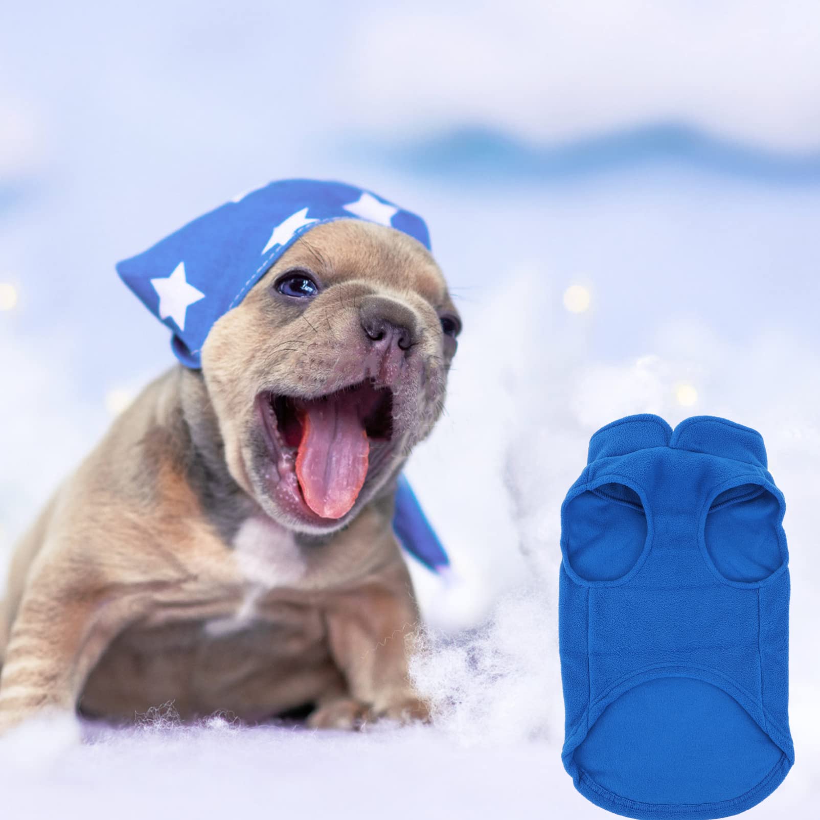 POPETPOP 3 Pz Gilet per Animali Domestici Cappotti Invernali per Cuccioli Abbigliamento per Cuccioli Costume da Cane da Vacanza Felpe per Cani Pile Portare a Spasso Il Cane Gattino