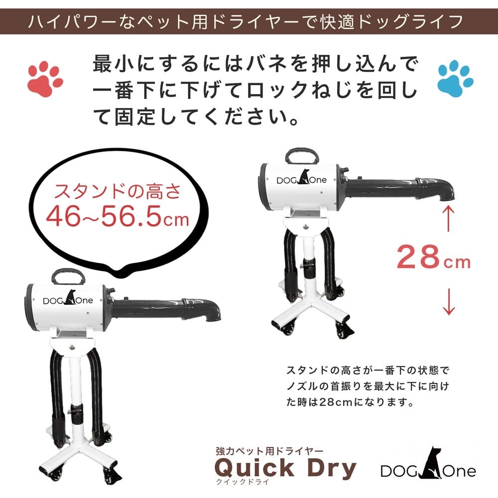 Amazon | DOG One 床で乾かす子に ロータイプスタンド 犬 クイック