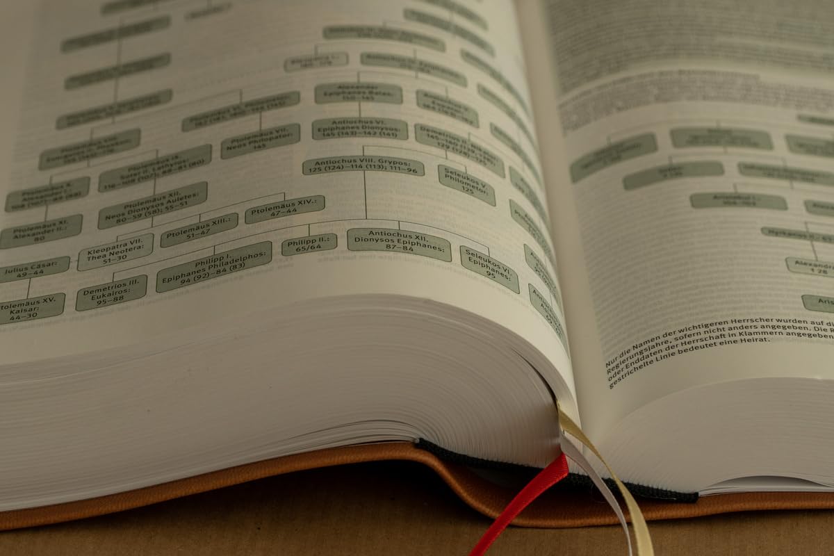 Elberfelder Bibel. Die große Studien- und Kommentarausgabe, Kunstleder Beige