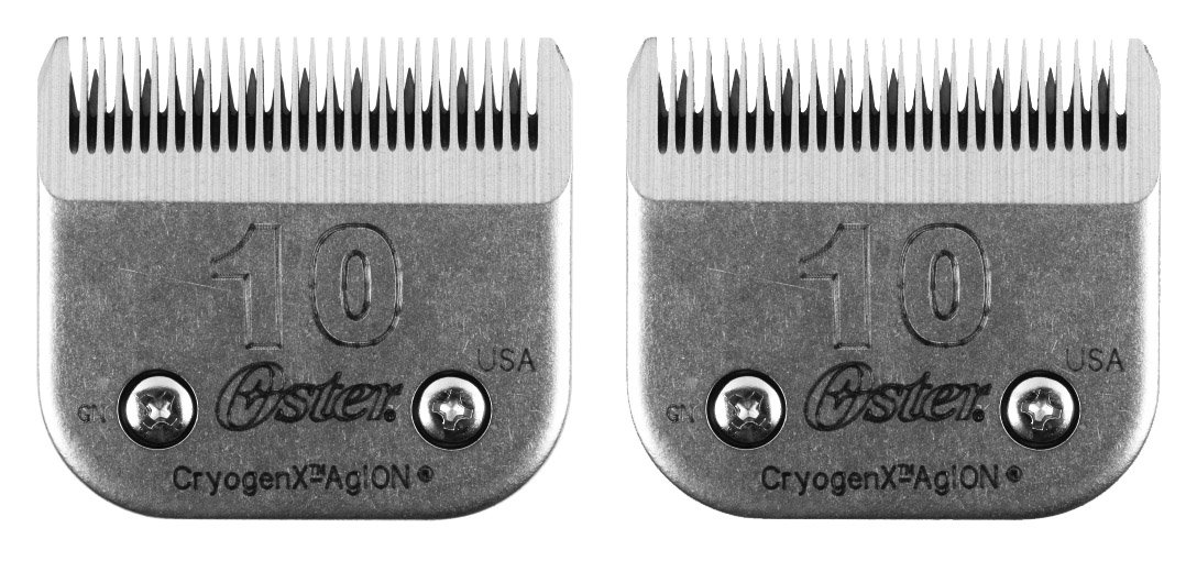 OsterCryogenx Blade 10