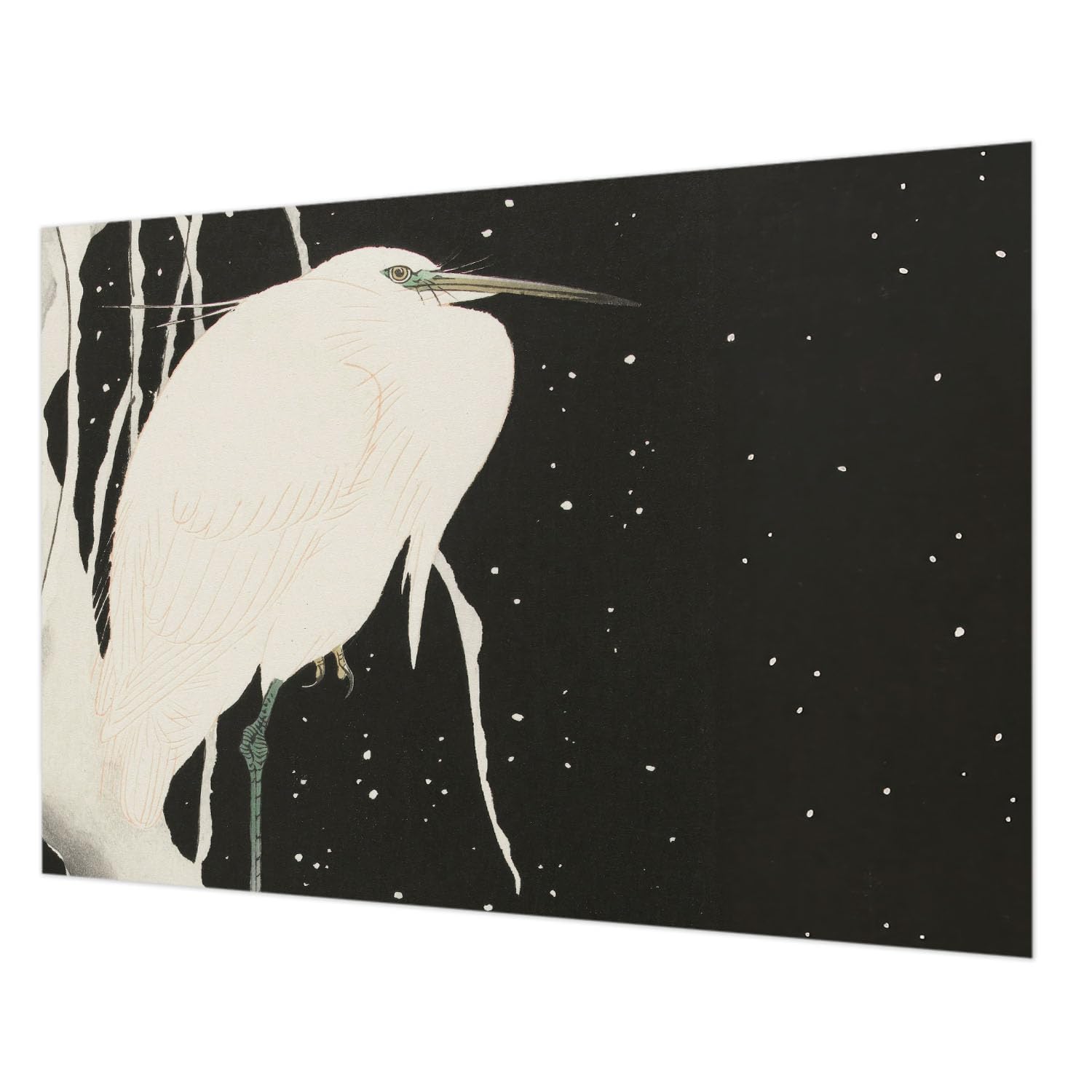 Papier peint intissé oiseau hivernant pour chambre et salon cocooning