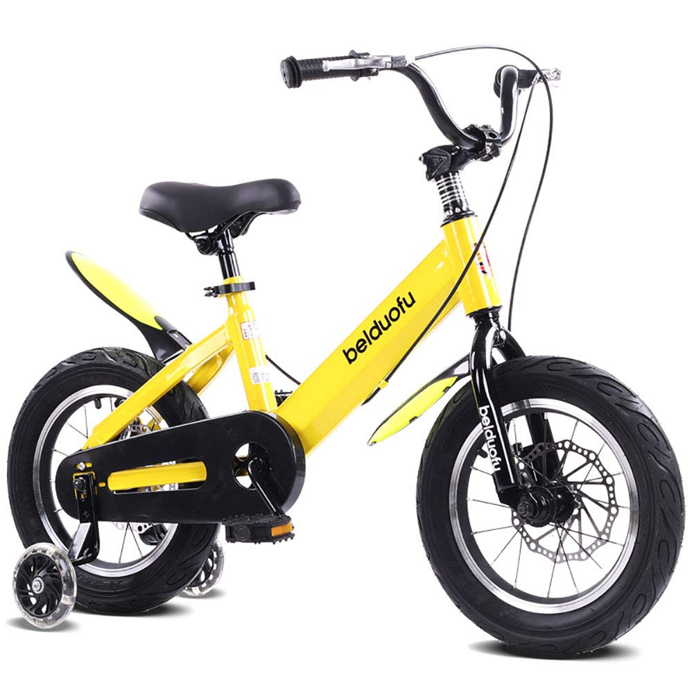 double wheel bicycle