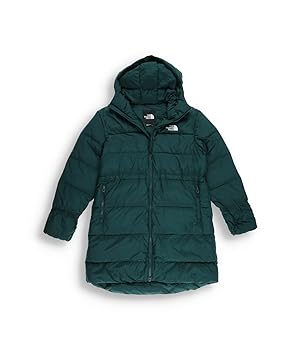 Amazon.com: THE NORTH FACE Women's Explore Farther Parka