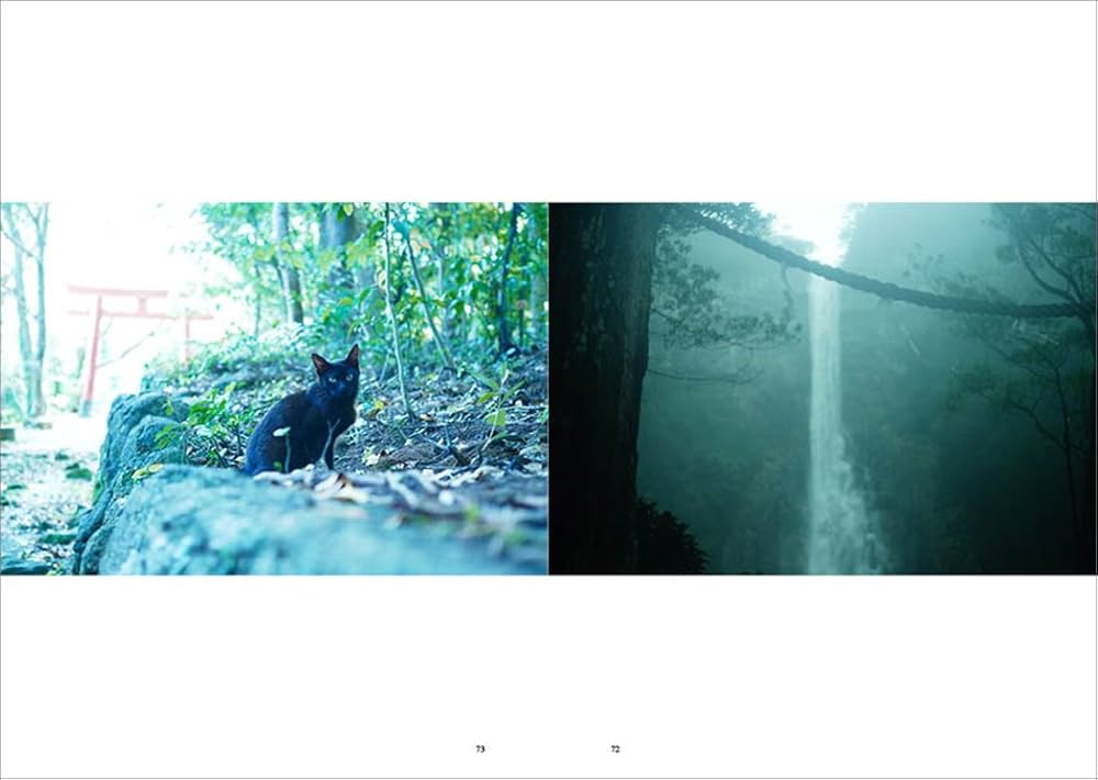 山本まりこ　写真集　KUMANOKODO 熊野古道 山本まりこ作品展：熊野古道を歩いています。 - デジカメ Watch