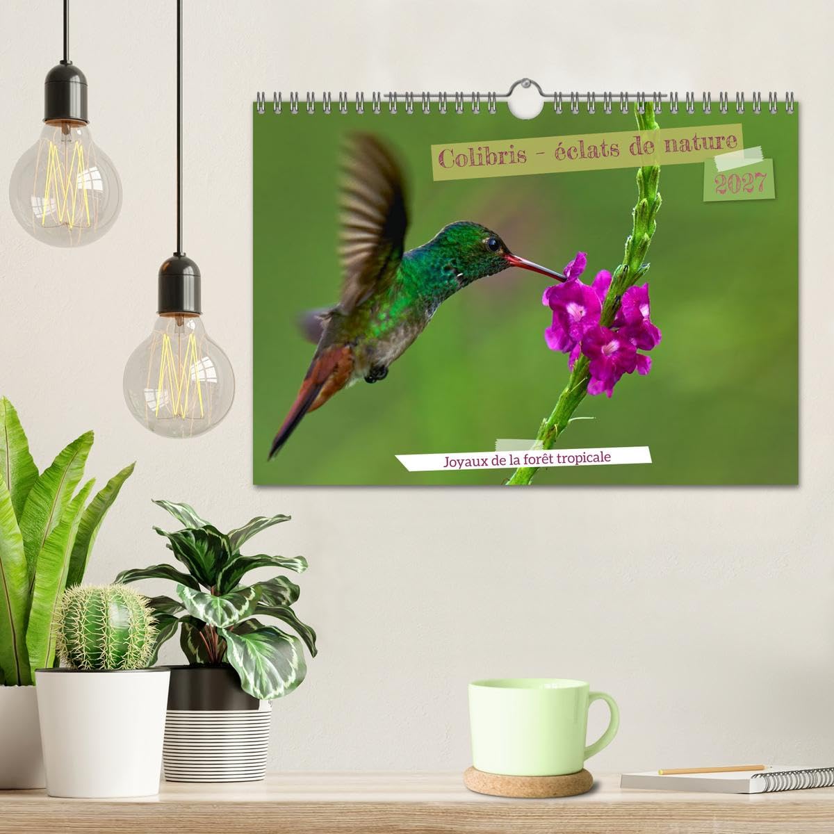 Colibris - éclats de nature (Calendrier mural 2027 DIN A4 vertical), CALVENDO calendrier mensuel: Joyaux de la forêt tropicale