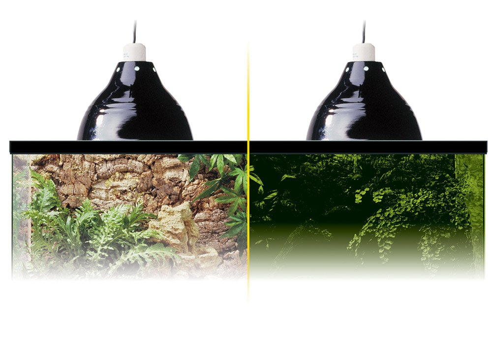 Exo Terra Glow Light, Porzellan-Klemmlampe und Leuchtreflektor, fuer Lampen bis 100W, Durchmesser 14cm, Schwarz
