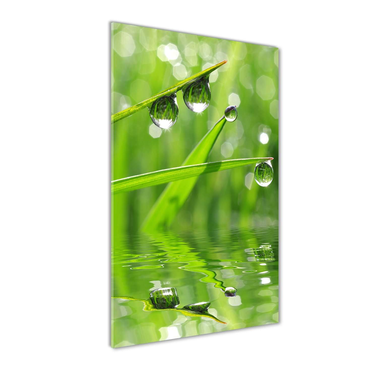 Image sur verre 70x140cm Tulup herbe pour créer un salon nature zen