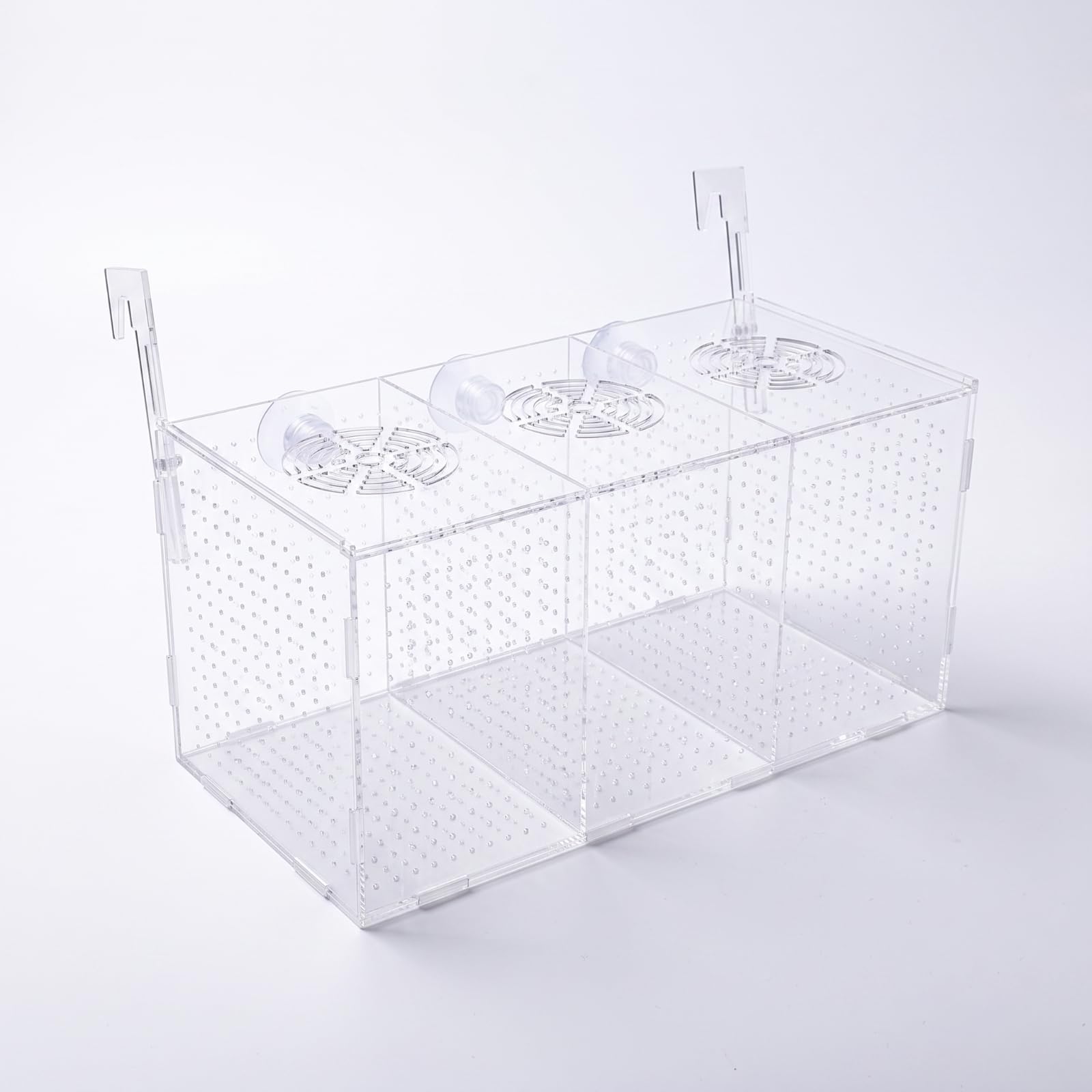 Reproductora Peces Triple Compartimento Seguro, Perforado, Parira Acrílico con Ventosas, Acuaristas, 40x15x20cm